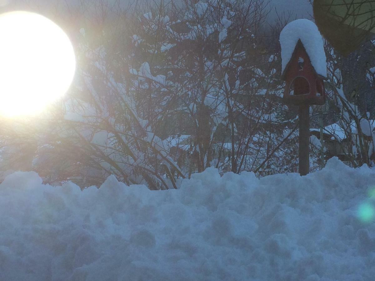 Zur Lieben Sonne Apartment Filzmoos Bagian luar foto